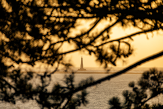  Appartement � vendre 3 pi�ces 40 m�