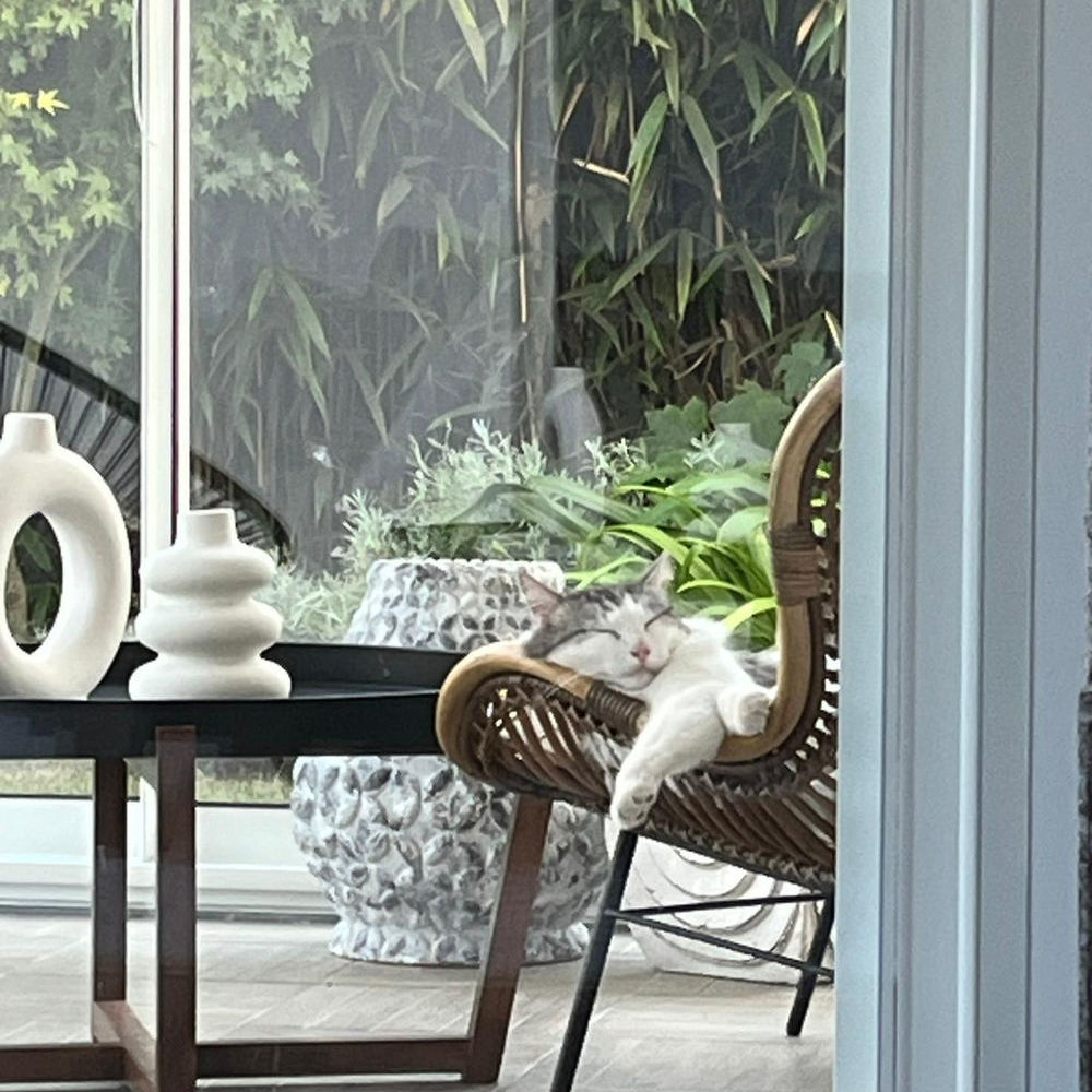 � vendre  Maison Vaux-sur-Mer (17640)