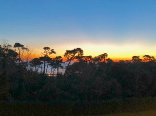  Appartement � vendre 2 pi�ces 54 m�