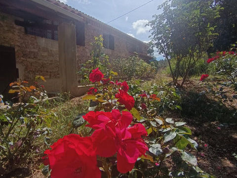   Maison en pierre 103 m2 + hangar & 7-ha   Ard�che Verte, sans vis-�-vis Maison - 5 pi�ce(s) - 103 m�