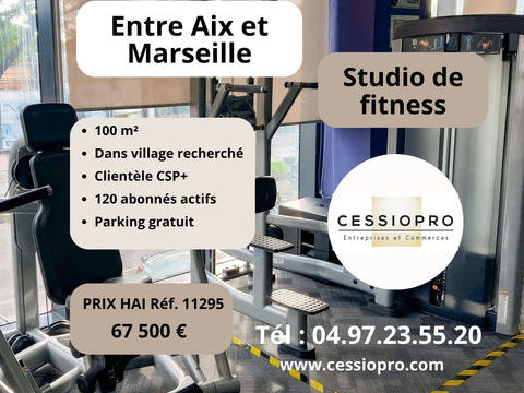STUDIO DE FITNESS INTIMISTE ET RECENT, IDEAL POUR UN(E) PASSIONNE(E) DE COACHING SOUHAITANT REPRENDRE UNE ACTI 67500 13320 Bouc bel air