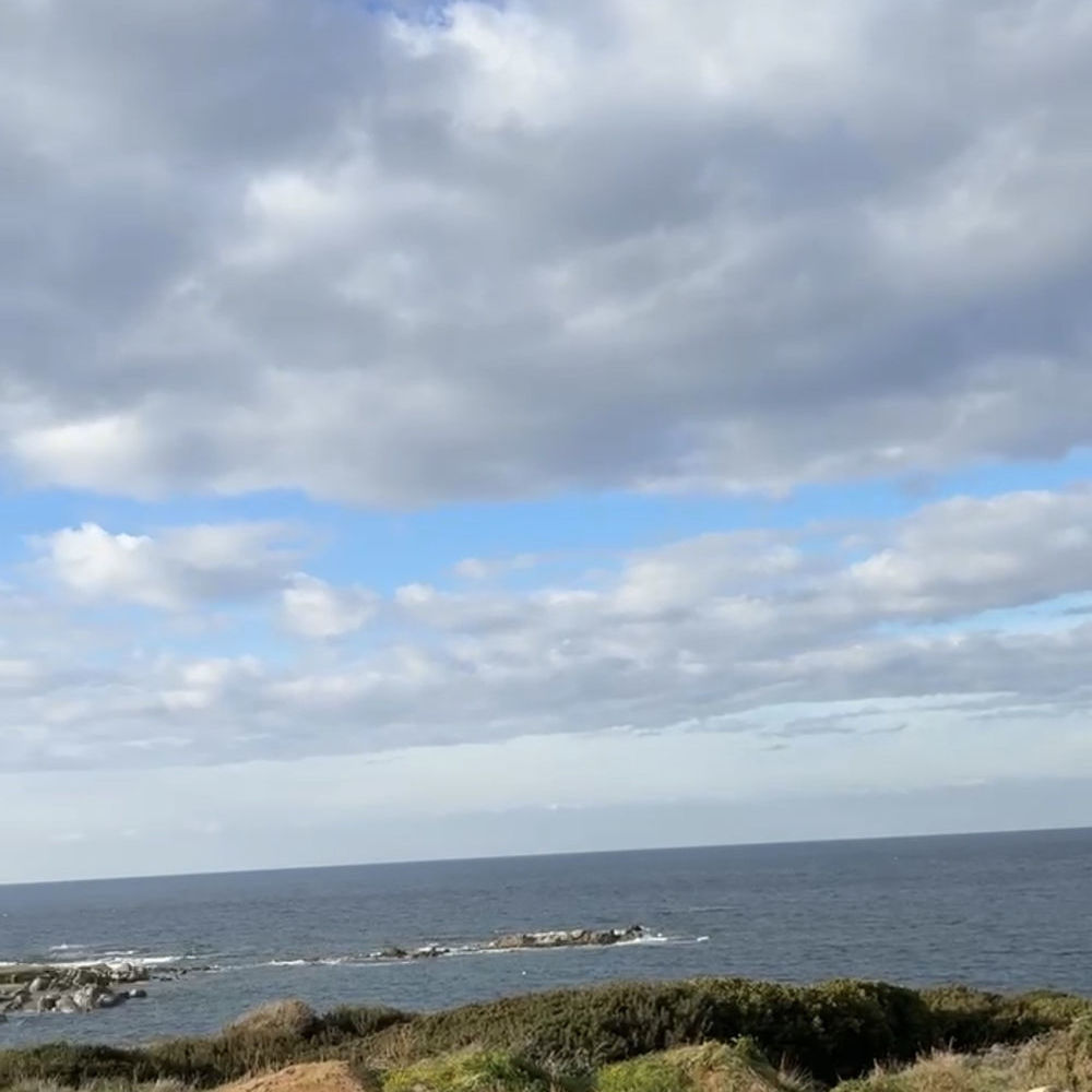 � vendre  Maison Corbara (20256)