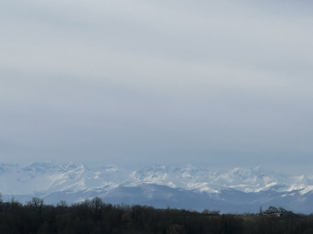 � vendre  Propri�t�/ch�teau Masseube (32140)