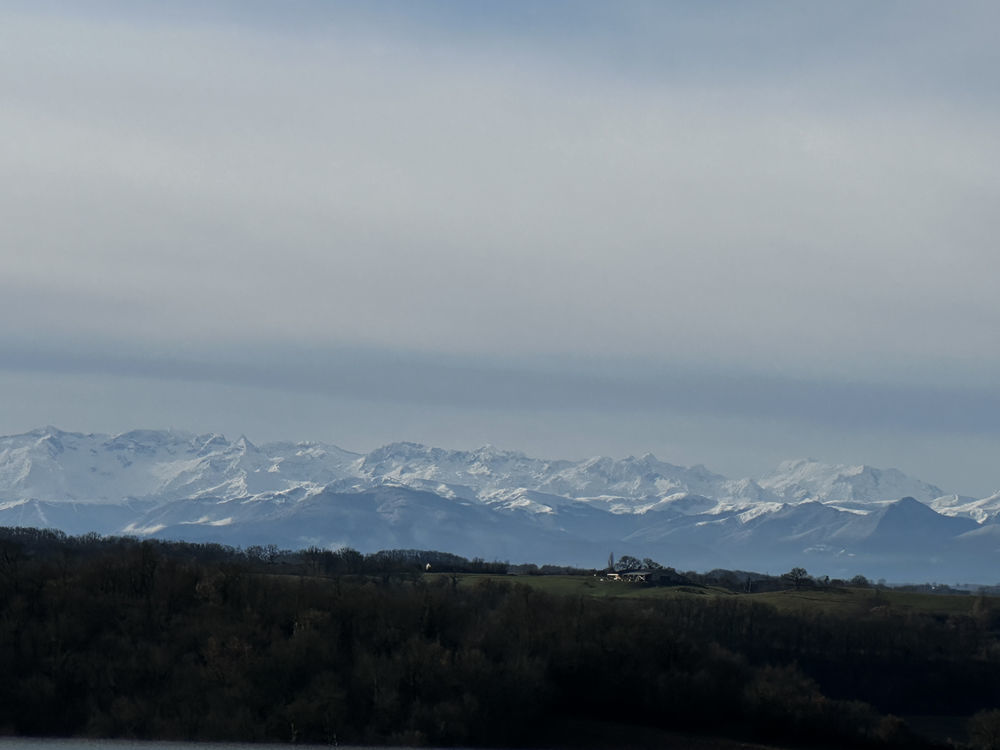 � vendre  Propri�t�/ch�teau Masseube (32140)