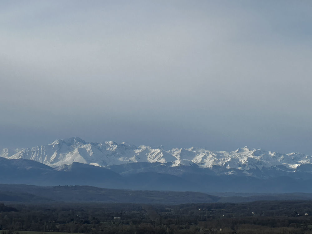 � vendre  Propri�t�/ch�teau Masseube (32140)