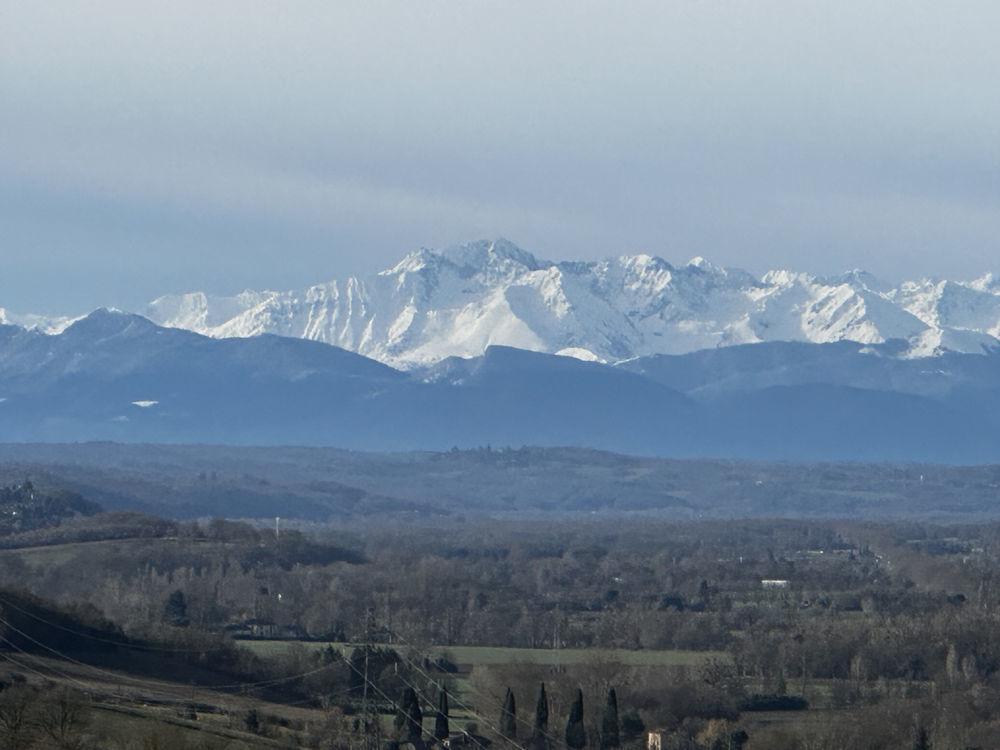 � vendre  Propri�t�/ch�teau Masseube (32140)