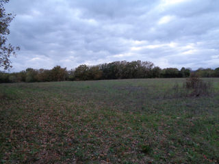  Terrain � vendre 40443 m�