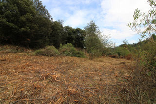  Terrain � vendre 1000 m�