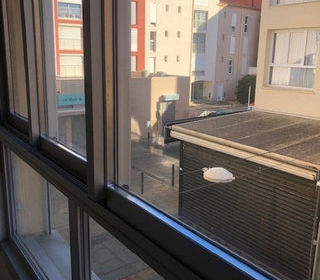  Appartement � vendre 2 pi�ces 49 m�