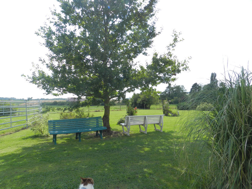 � vendre  Propri�t�/ch�teau Laubressel (10270)