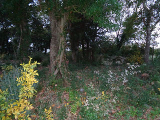  Terrain � vendre 40443 m�