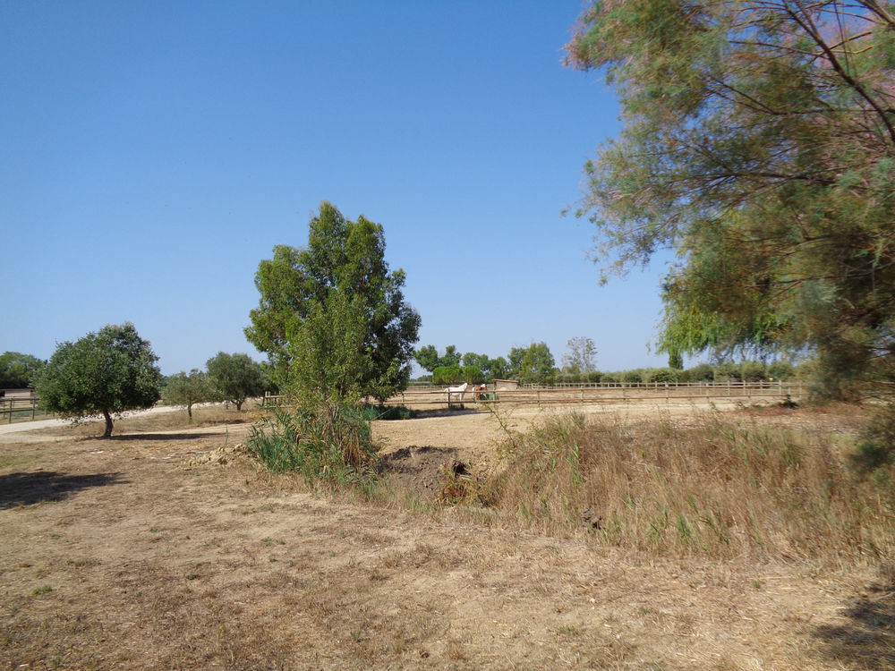 � vendre  Propri�t�/ch�teau Lunel (34400)