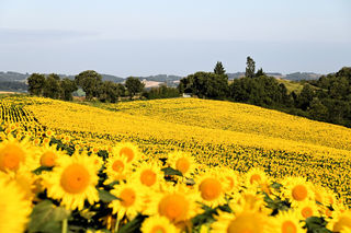  Maison � vendre 4 pi�ces 88 m�