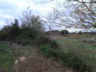  Terrain � vendre 40443 m�