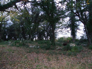  Terrain � vendre 40443 m�