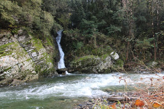  Maison � vendre 7 pi�ces 222 m�