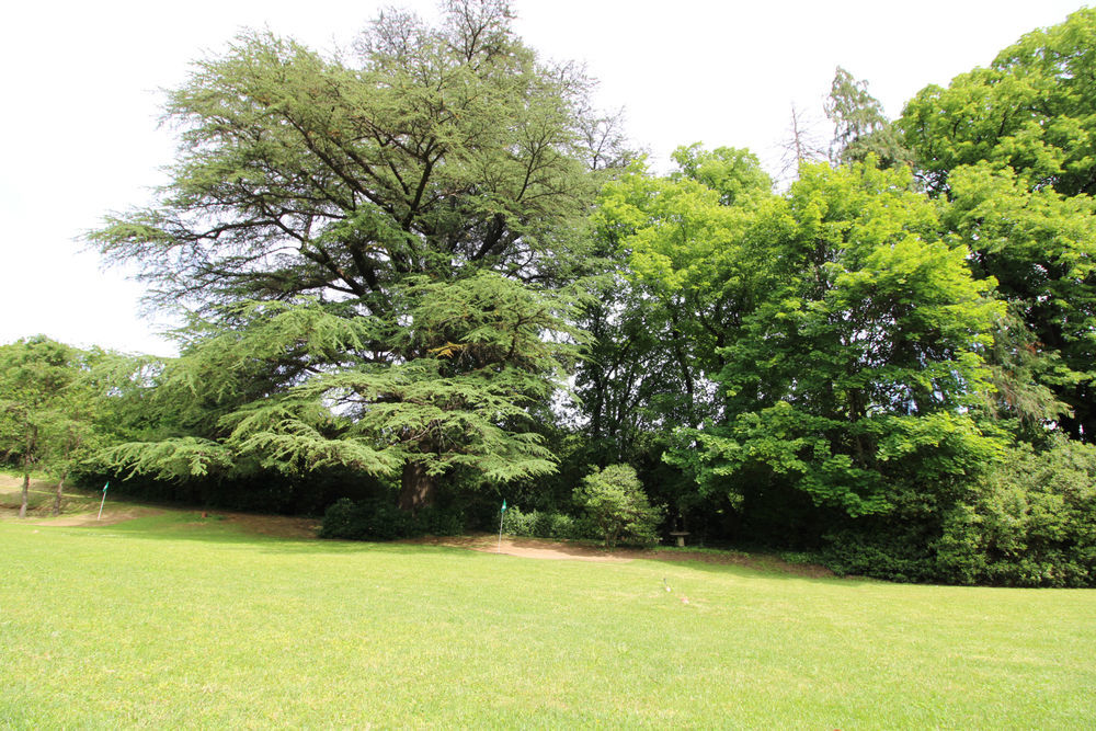 � vendre  Propri�t�/ch�teau Anduze (30140)