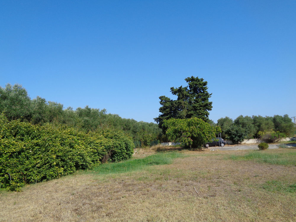 � vendre  Propri�t�/ch�teau Lunel (34400)