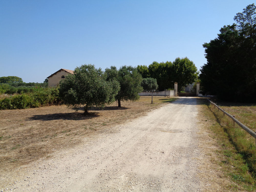 � vendre  Propri�t�/ch�teau Lunel (34400)