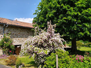  Maison � vendre 12 pi�ces 226 m�