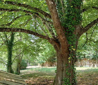  Maison � vendre 7 pi�ces 222 m�