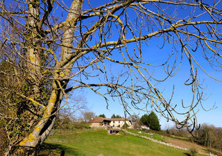  Maison � vendre 13 pi�ces 330 m�