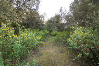  Terrain � vendre 1000 m�