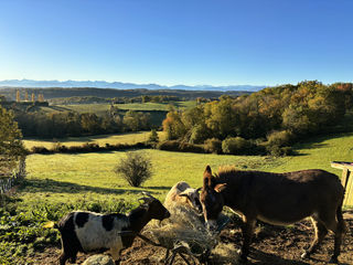  Maison � vendre 13 pi�ces 330 m�