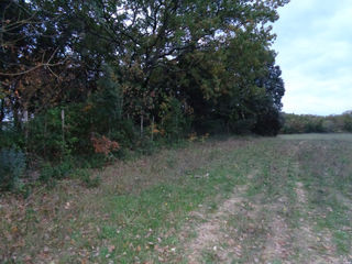  Terrain � vendre 40443 m�