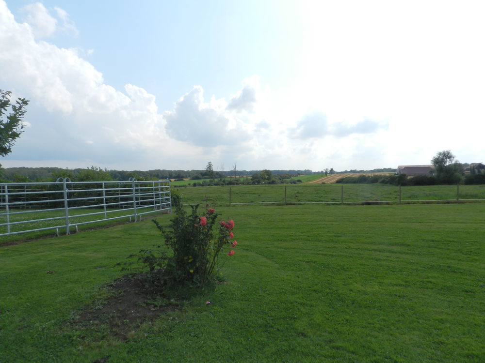 � vendre  Propri�t�/ch�teau Laubressel (10270)