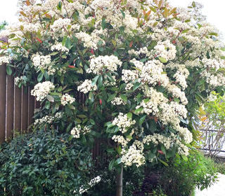  Maison � vendre 6 pi�ces 125 m�