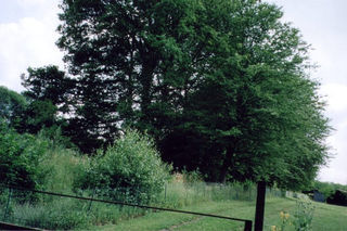  Terrain � vendre 2005 m�