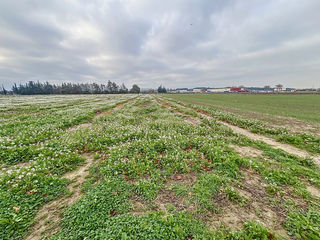  Terrain � vendre 16978 m�