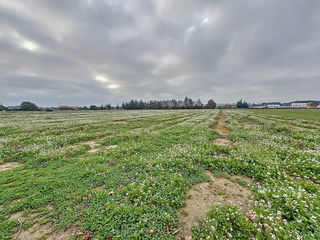  Terrain � vendre 16978 m�