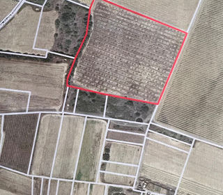  Terrain � vendre 16978 m�