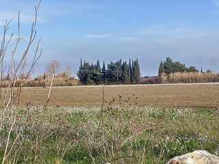  Terrain � vendre 11155 m�