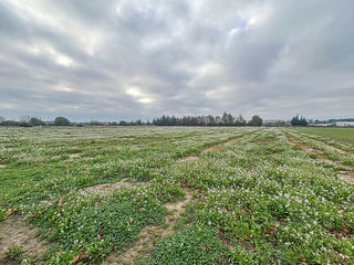  Terrain � vendre 16978 m�