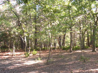  Terrain � vendre 5000 m�