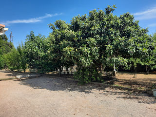  Maison � vendre 3 pi�ces 145 m�