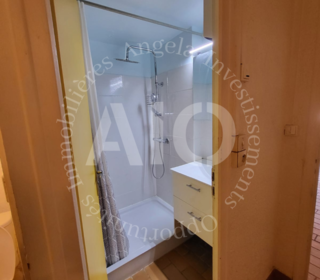  Appartement � vendre 1 pi�ce 43 m�