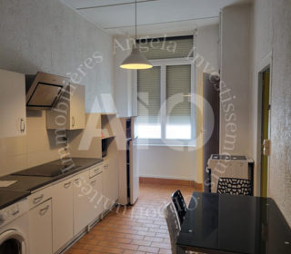  Appartement � vendre 1 pi�ce 43 m�