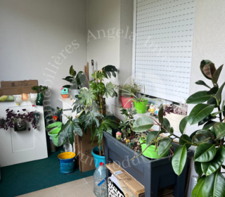  Appartement � vendre 3 pi�ces 52 m�