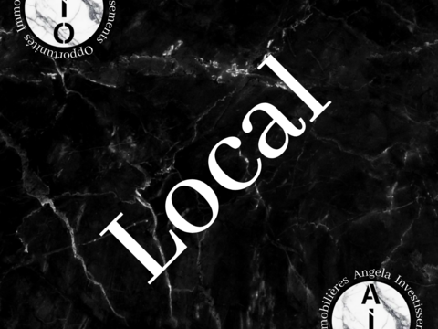 LOCAL COMMERCIAL/ACTIVITE A BRON D'UNE SURFACE DE 143m2 DE PLAIN PIED 410000 69500 Bron