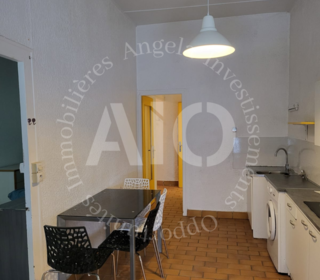  Appartement � vendre 1 pi�ce 43 m�