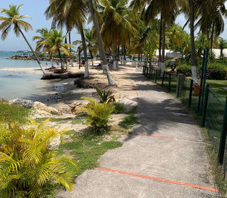  Appartement � louer 2 pi�ces 53 m�