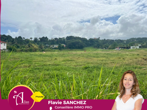 &Agrave; vendre - Terrain 15 228 m2 avec permis accord&eacute;   Montebello, Petit-Bourg 1250000 97170 Petit bourg