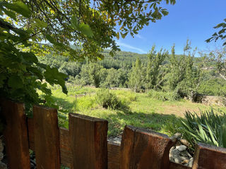  Maison � vendre 12 pi�ces 327 m�