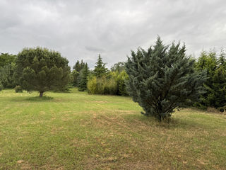  Terrain � vendre 2000 m�