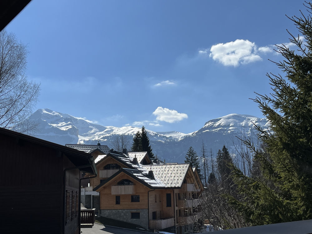 � vendre  Duplex/triplex Les Carroz d'Araches (74300)