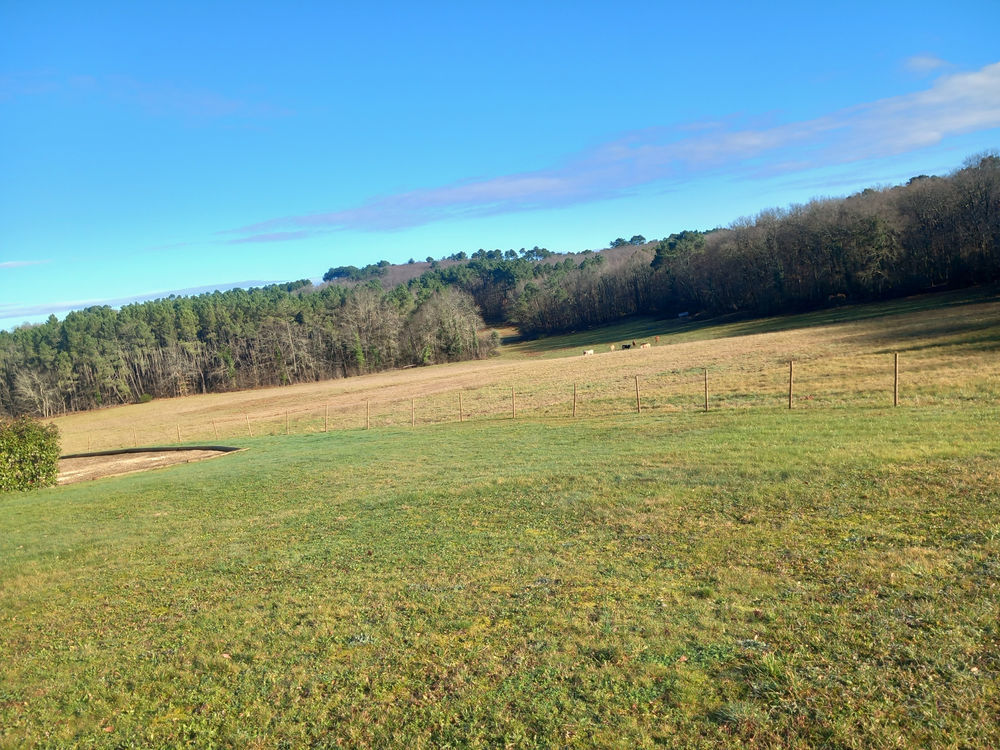 � vendre  Propri�t�/ch�teau Puy-l'�v�que (46700)